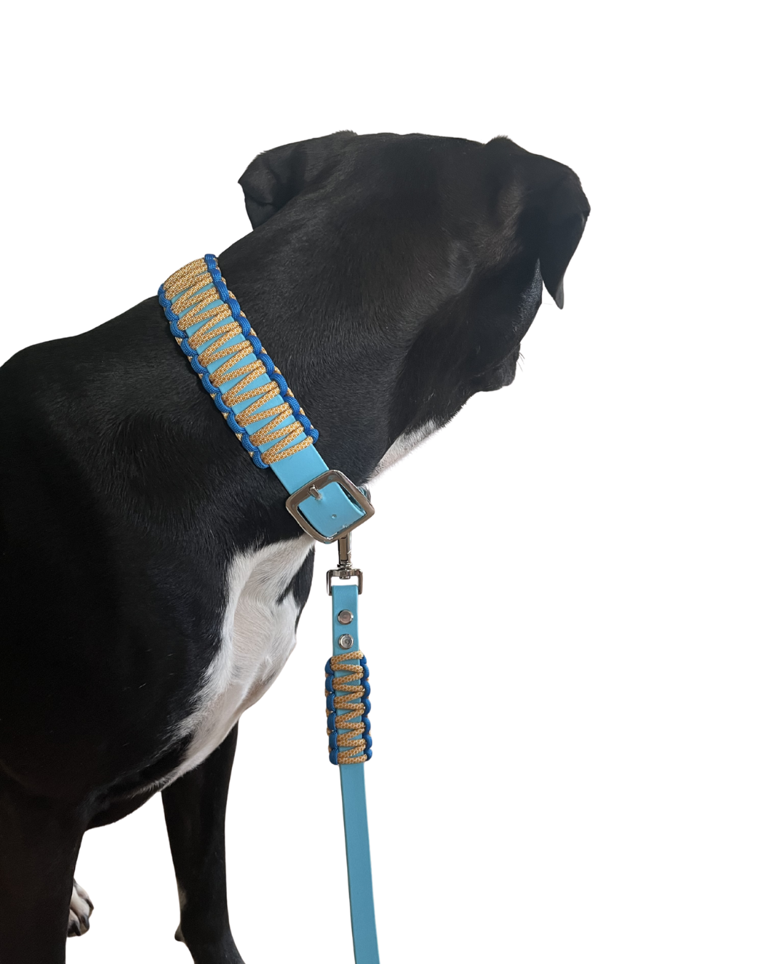 'Build your own' Workshop für Hundeliebhaber